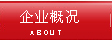 企業概況